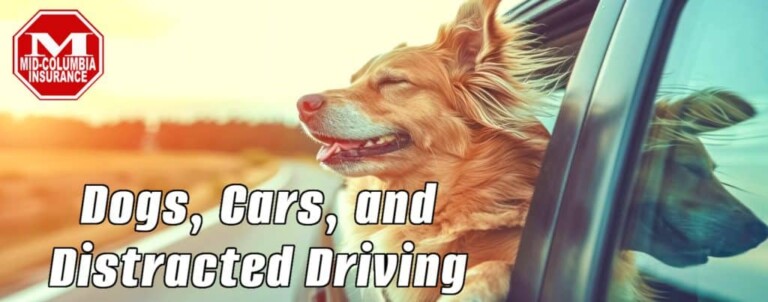 Buckle Up Your Furry Friend: Avoiding Dog-Related Driving Distractions