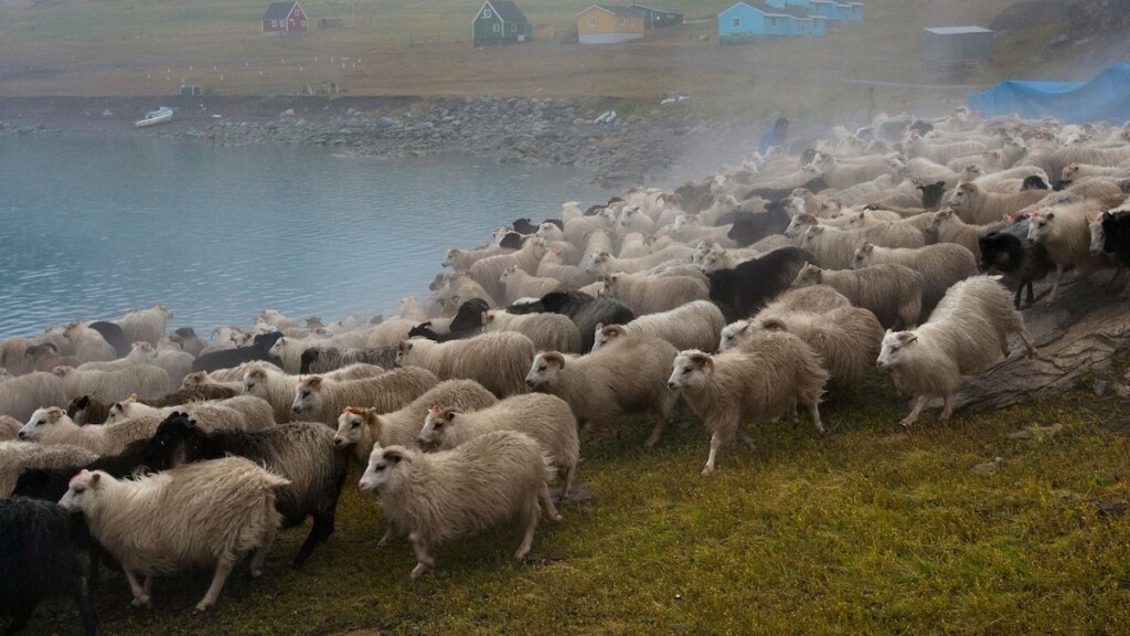 Experience Greenland’s Inuit and Viking farming traditions on this stunning trail