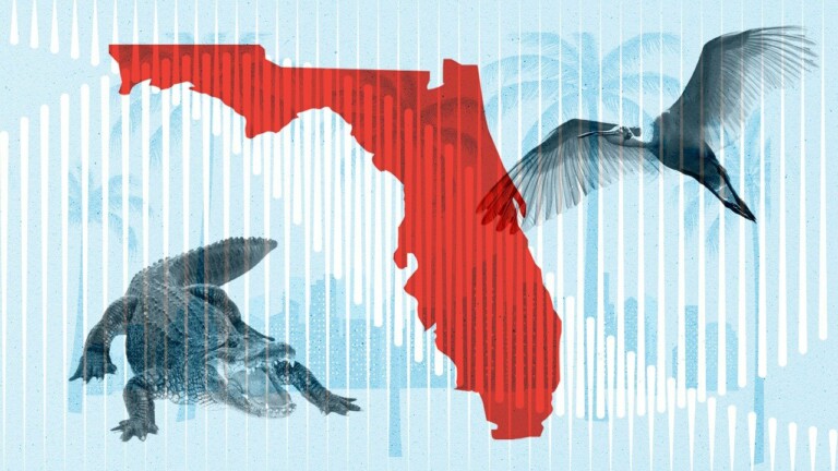 Florida’s Real Estate Market Is Divided: What To Know If You’re Buying or Selling in the Sunshine State