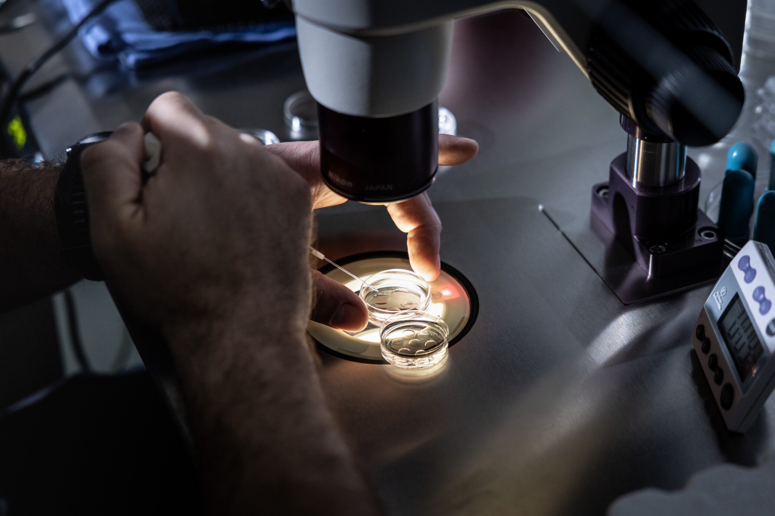 california's-much-touted-ivf-law-may-be-delayed-until-2026,-leaving-many-in-the-lurch-–-kff-health-news
