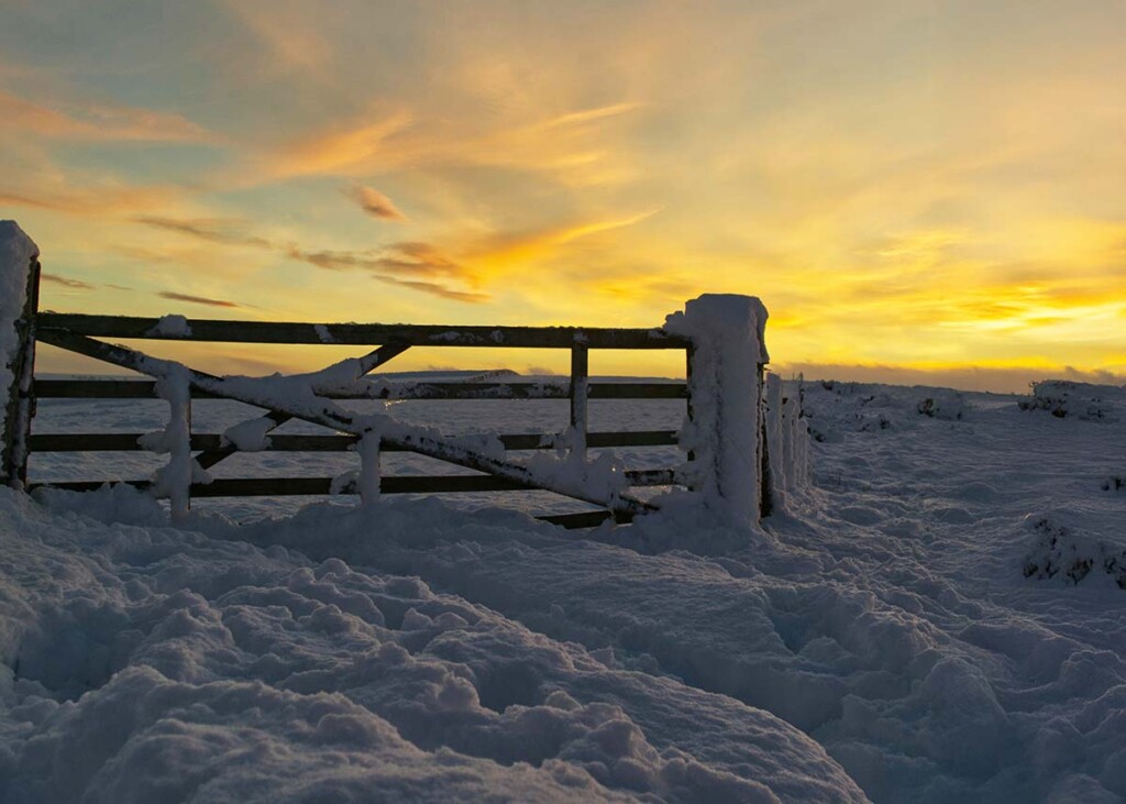 preparing-your-farm-for-winter:-a-practical-guide-for-ontario-farmers-–-zehr-insurance-brokers-ltd.